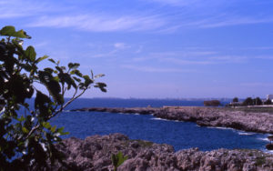 Scoglio RIvabella di Gallipoli